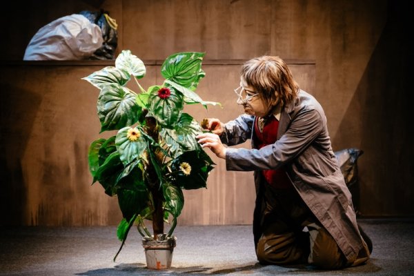 十大配资公司 德国默剧团演绎当代成人童话：面具让我们超越身份的界限