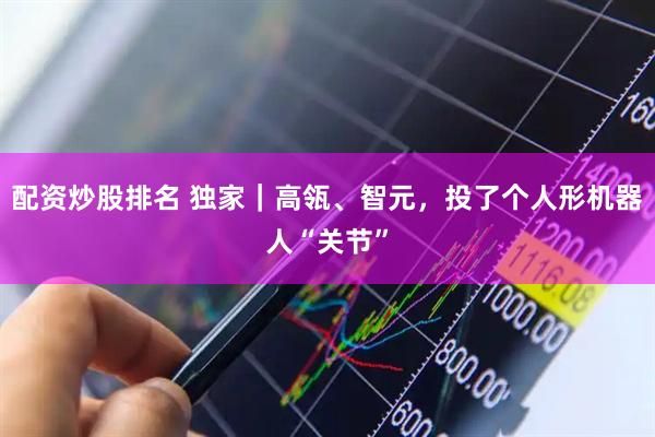 配资炒股排名 独家|高瓴、智元,投了个人形机器人“关节”